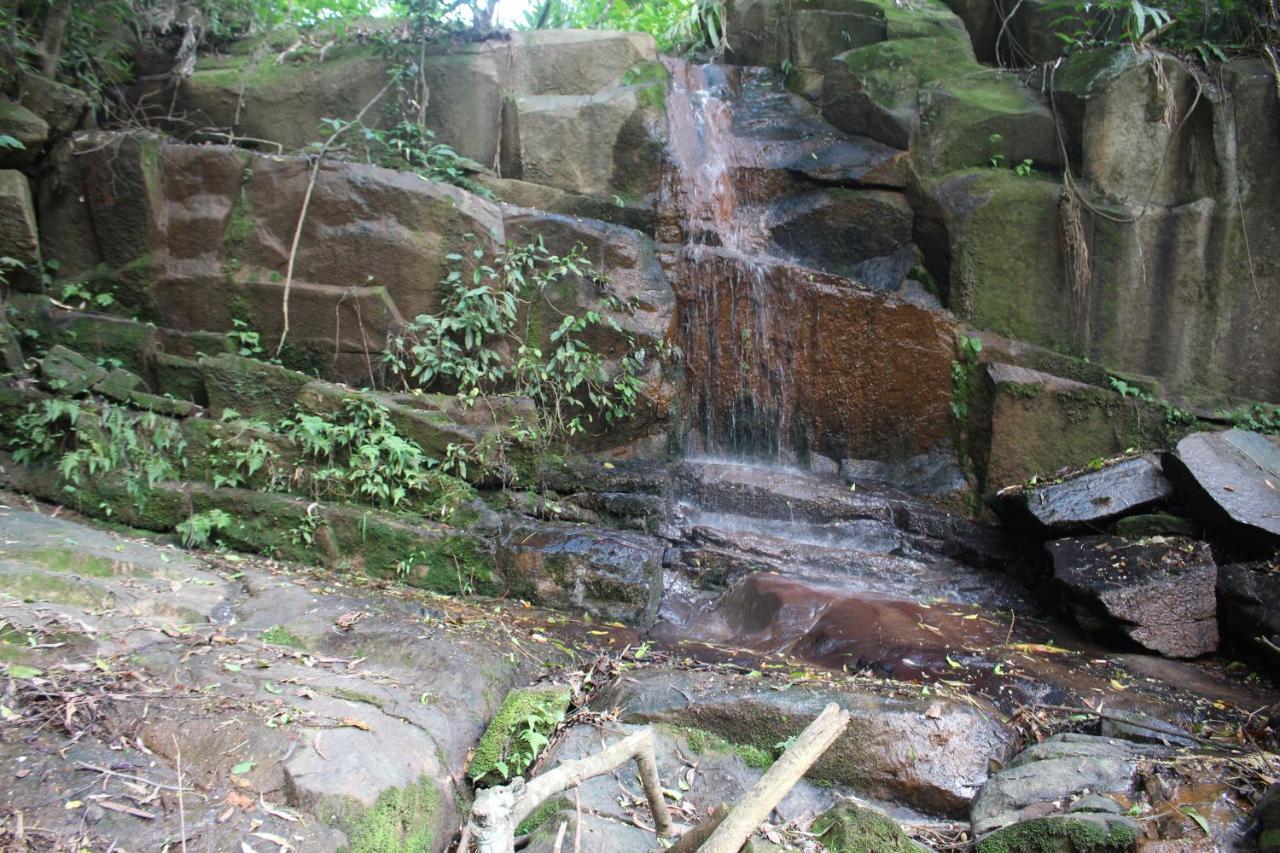 Chale 4X4 Alto Da Serra De Sao Roque. 外观 照片